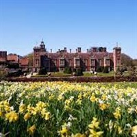 Blickling Hall 100,000 Daffodils 