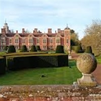 Blickling Hall Daffodils