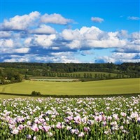 Two Buckinghamshire Towns