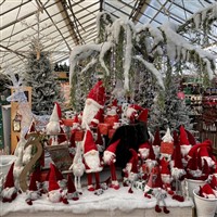 Dobbies Garden World & Ashford Designer Outlet