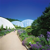 St Agnes - Cream of Cornwall