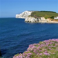 Isle of Wight Day Tour