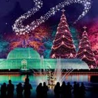 Kew Gardens at Christmas
