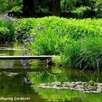 Winchester & Longstock Water Gardens