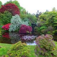 Scottish Island Gardens