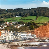 Summer Delights of the English Riviera