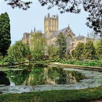 Somerset's Golden Countryside