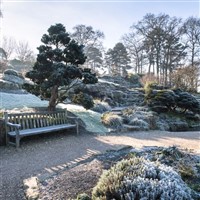 Christmas Glow at RHS Garden Wisley 